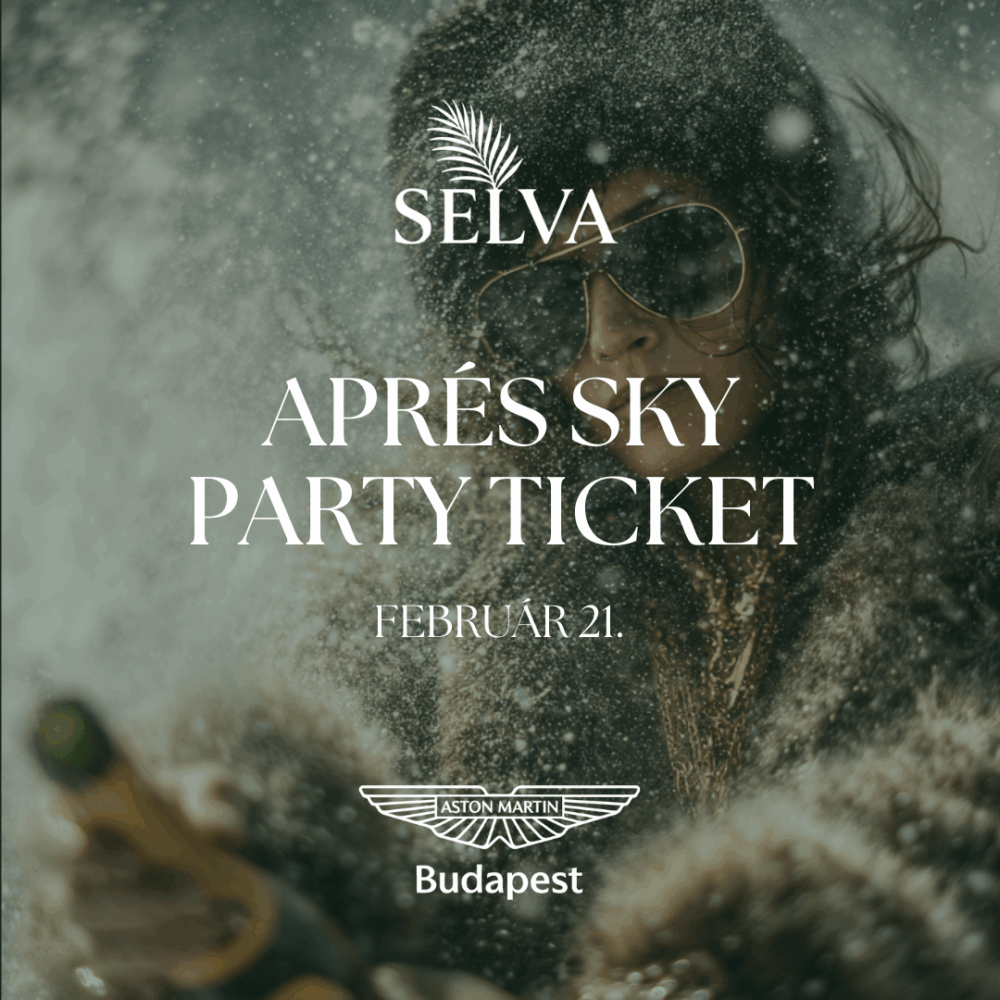 APRÉS SKY 2.0 Party Ticket - 02.21