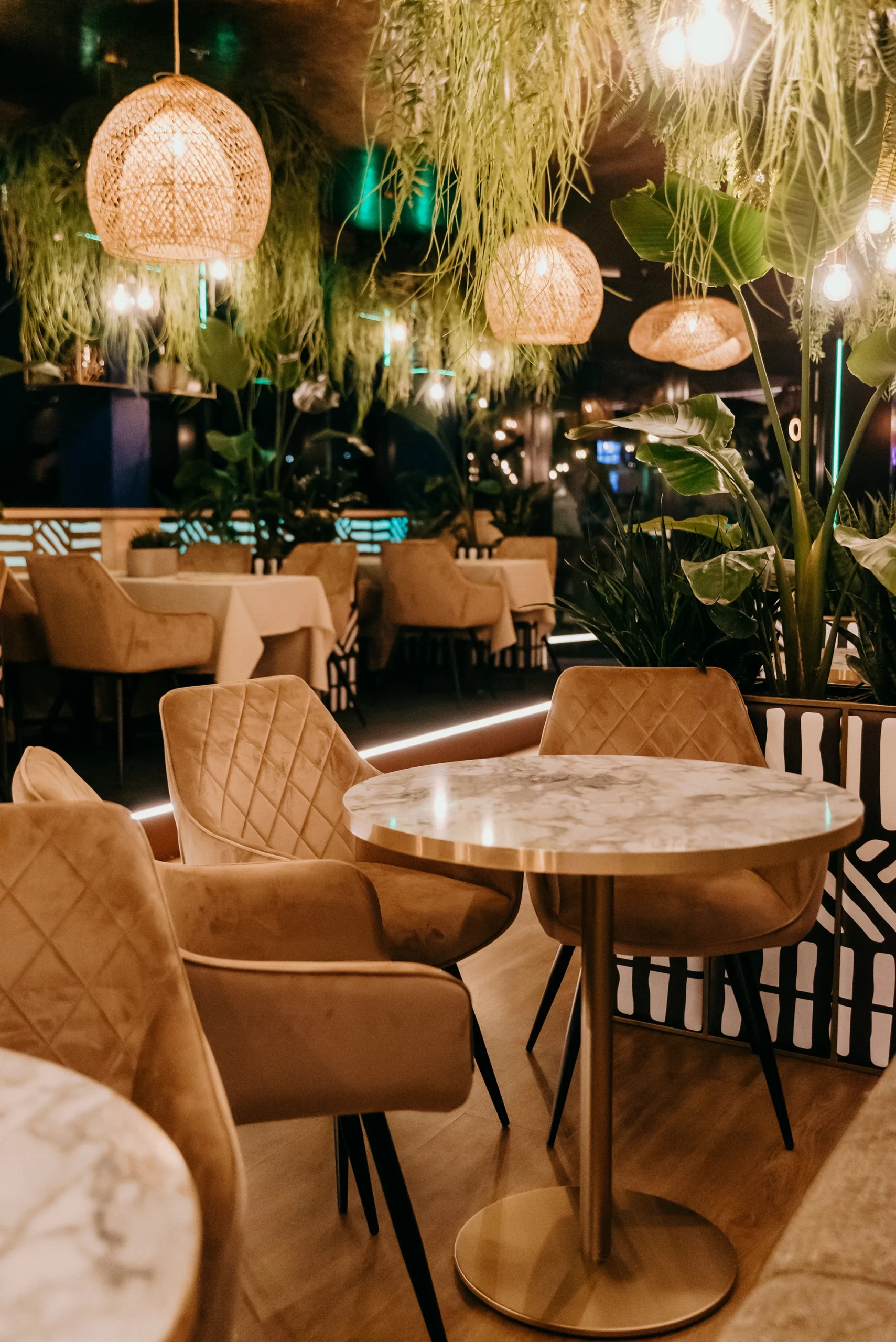 Selva Skybar Show dinner experience