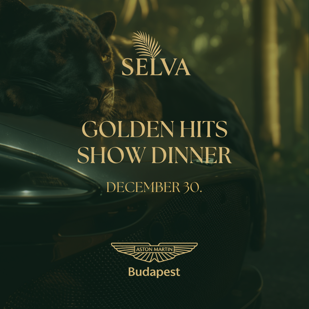 GOLDEN HITS SHOW DINNER - 12.30.