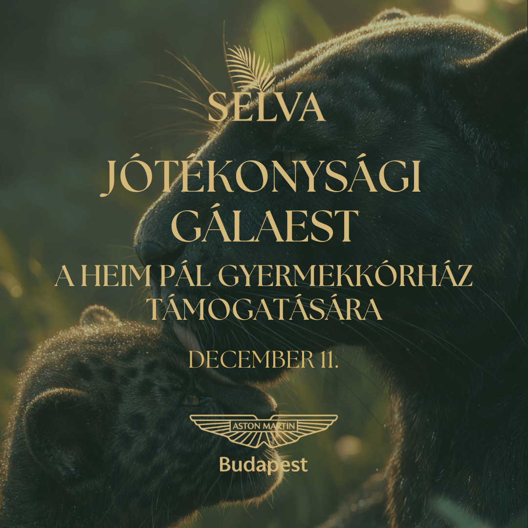 Jótékonysági Gálaest - 12.10.
